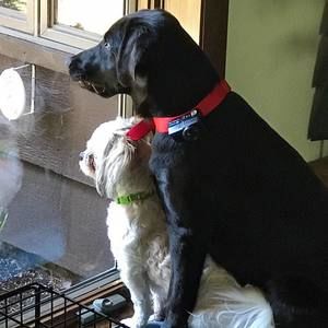 Meet your Posher, Niki